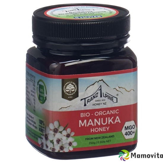 Hoyer Manukahonig Mgo 400+ Bio Glas 250g buy online