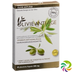 Olivie Anti-Age 500mg Gelules Vegetale 40 Stück