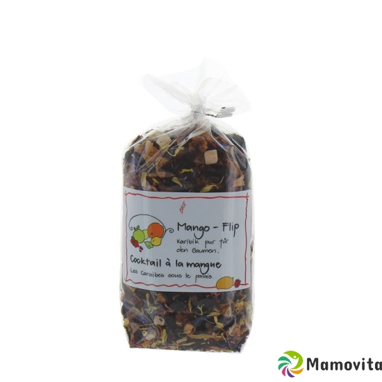 Herboristeria Früchtetee Mango Flip 140g buy online