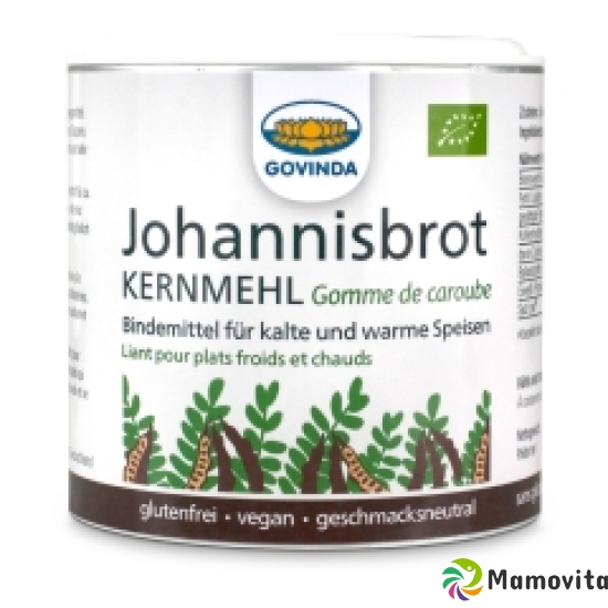 Govinda Johannisbrotkernmehl Bio Dose 100g buy online