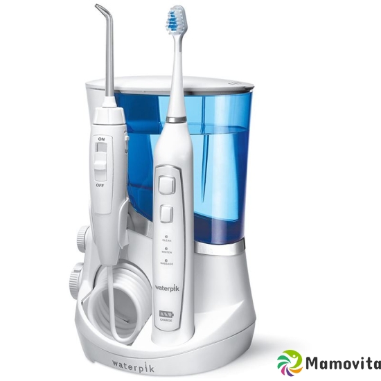 Waterpik Water Flosser Complete Care Wp-861e1 buy online