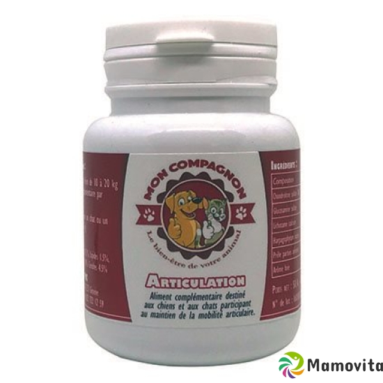 Mon Compagnon Articulation Tabletten Dose 60 Stück buy online