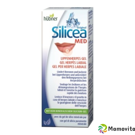 Hübner Silicea Lippenherpes-Gel Tube 2g buy online