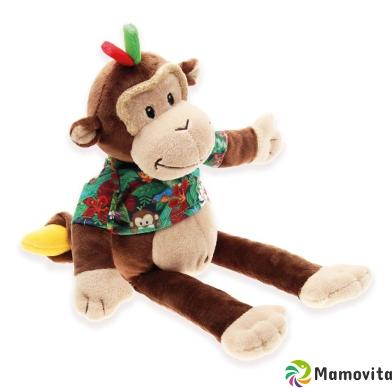 Idis Raffy Monkey 28cm buy online