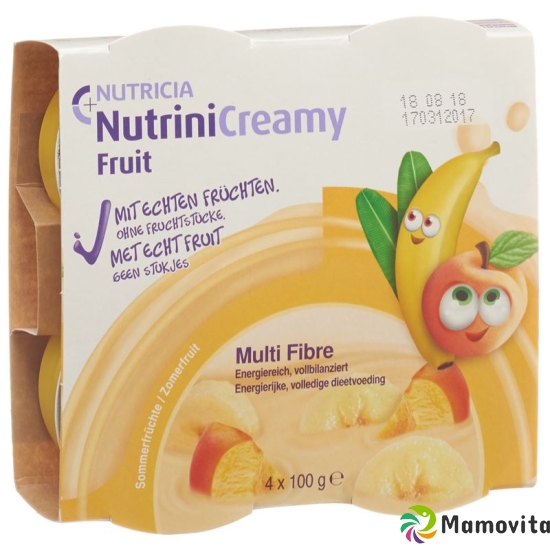 Nutrini Creamy Fruit Sommerfrüchte 4x 100g buy online