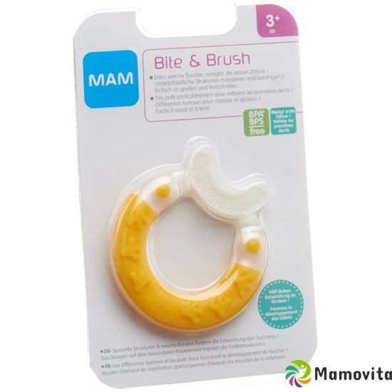 Mam Bite & Brush 3+m buy online