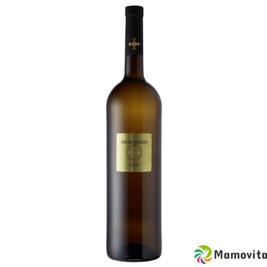 Bianco Terre Chieti Igt Ama Senza Par 16 6x 75cl buy online