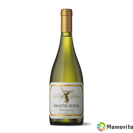 Alpha Chardonnay Doc Montes 2015 6x 75cl buy online