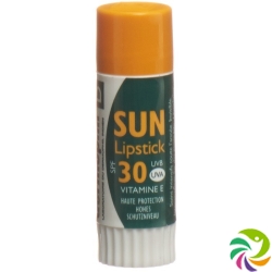 Dermophil Sun Lipstick SPF 30 Stick 3.8g