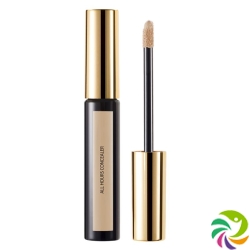 Ysl Teint Encre Peau Correcteur No 01