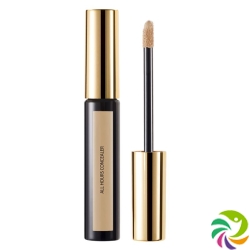 Ysl Teint Encre Peau Correcteur No 02