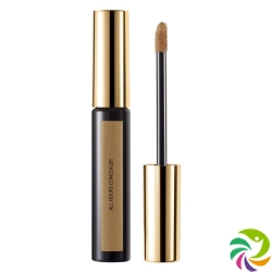 Ysl Teint Encre Peau Correcteur No 06