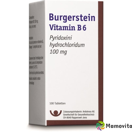 Burgerstein Vitamin B6 tablets 100 mg Ds 100 pieces buy online