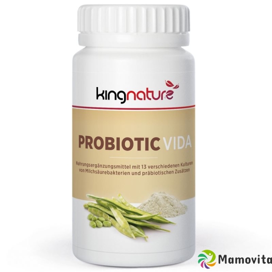 Kingnature Probiotic Vida Pulver Dose 90g buy online