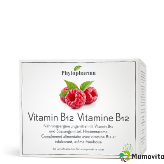 Phytopharma Vitamin B12 lozenges tin 60 pieces buy online