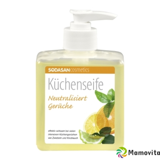 Sodasan Küchenseife Bio Dispenser 300ml buy online