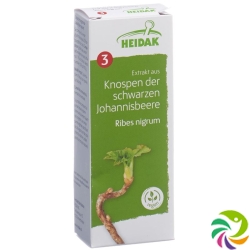 Heidak Knospe Johannisb Rib Nig Glyc Maz Flasche 30ml