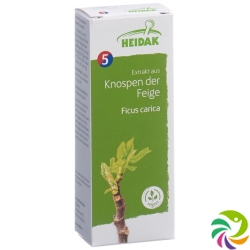 Heidak Knospe Feige Ficus Glyc Maz Flasche 30ml