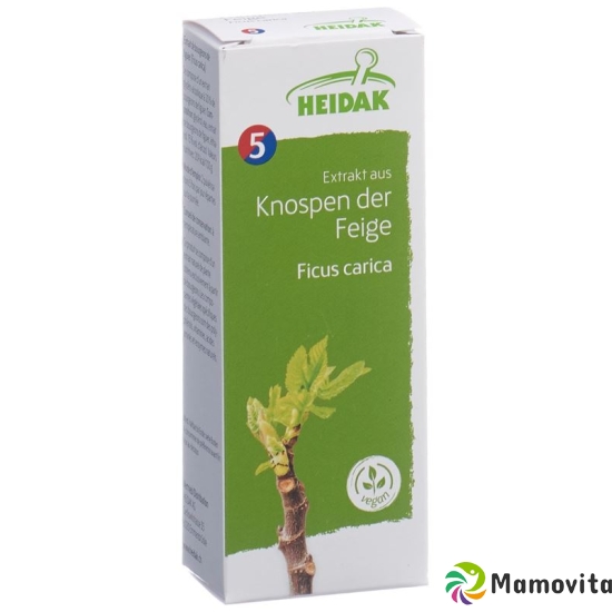 Heidak Knospe Feige Ficus Glyc Maz Flasche 30ml buy online