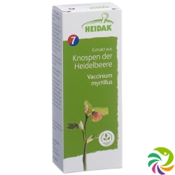 Heidak Knospe Heidelbeer Vaccin Glyc Maz Flasche 30ml