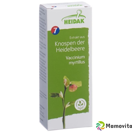 Heidak Knospe Heidelbeer Vaccin Glyc Maz Flasche 30ml buy online