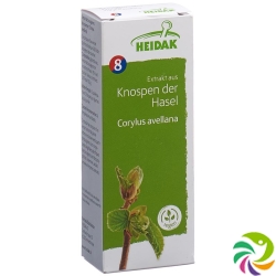 Heidak Knospe Hasel Corylu Avel Glyc Maz Flasche 30ml