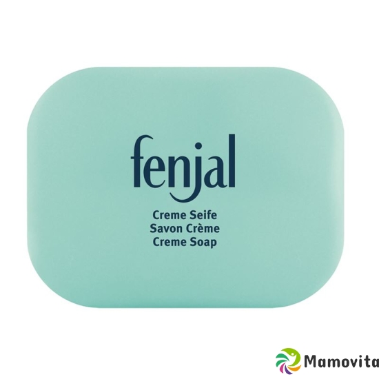 Fenjal Creme Seife Dose 100g buy online