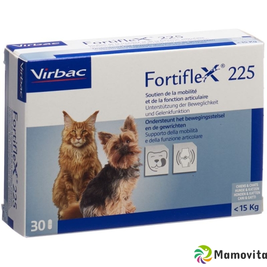 Fortiflex Tabletten 225mg Blister 30 Stück buy online