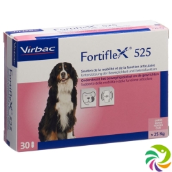 Fortiflex Tabletten 525mg Blister 30 Stück