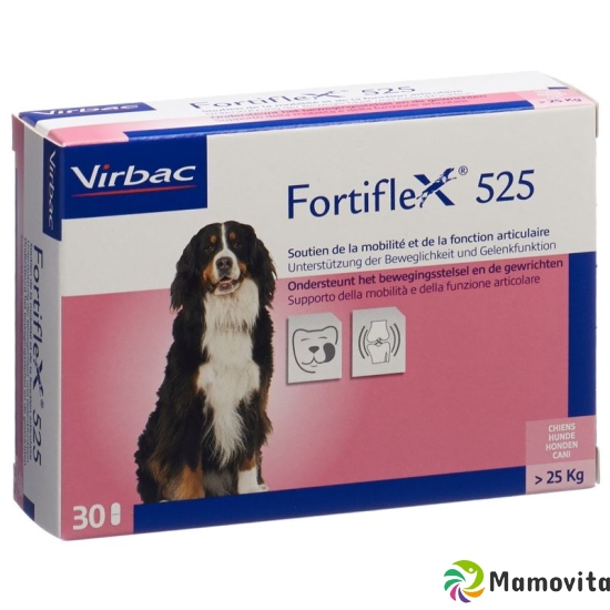 Fortiflex Tabletten 525mg Blister 30 Stück buy online