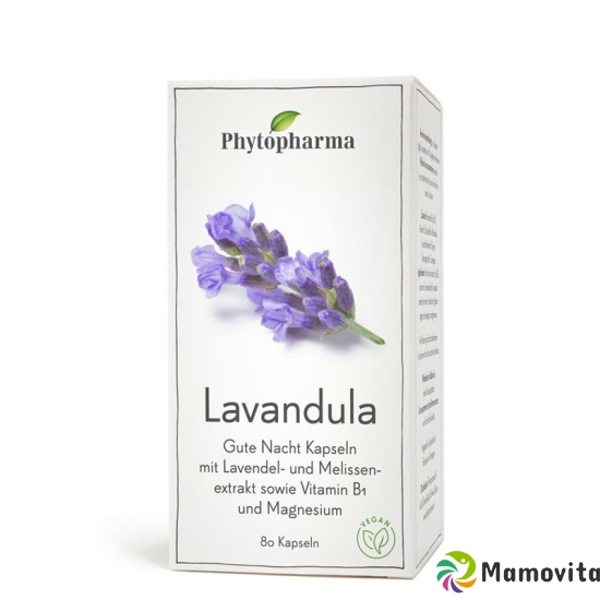 Phytopharma Lavandula Kapseln Dose 80 Stück buy online