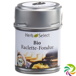 Herbselect Raclette-Fondue Gewürz Bio 40g