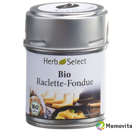 Herbselect Raclette-Fondue Gewürz Bio 40g buy online