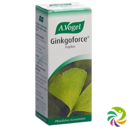 Vogel Ginkgoforce Tropfen Flasche 50ml