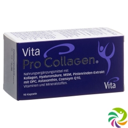 Vita Pro Collagen Kapseln Glas 90 Stück