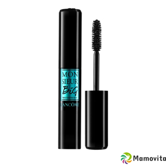 Lancome Mons Big Mascara Wp 01 buy online