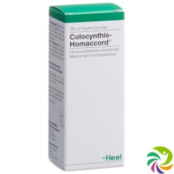 Homaccord Colocynthis Tropfen 30ml