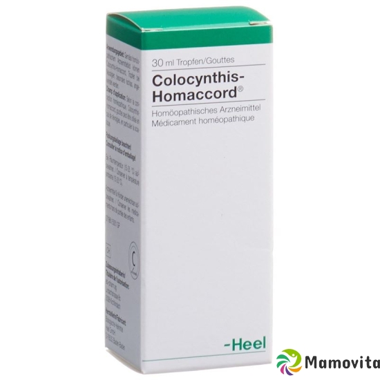 Homaccord Colocynthis Tropfen 30ml buy online