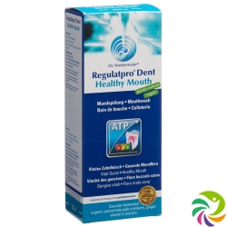 Regulatpro Dent Healthy Mouth Flasche 350ml