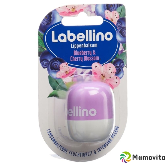 Labello Labellino Blueberry and Cherry Blossom 7g buy online