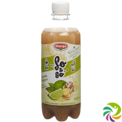 So&so Limette-Ingwer Konzentrat mit Stevia Flasche 5dl