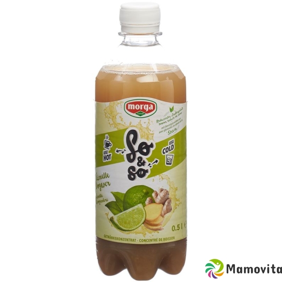 So&so Limette-Ingwer Konzentrat mit Stevia Flasche 5dl buy online