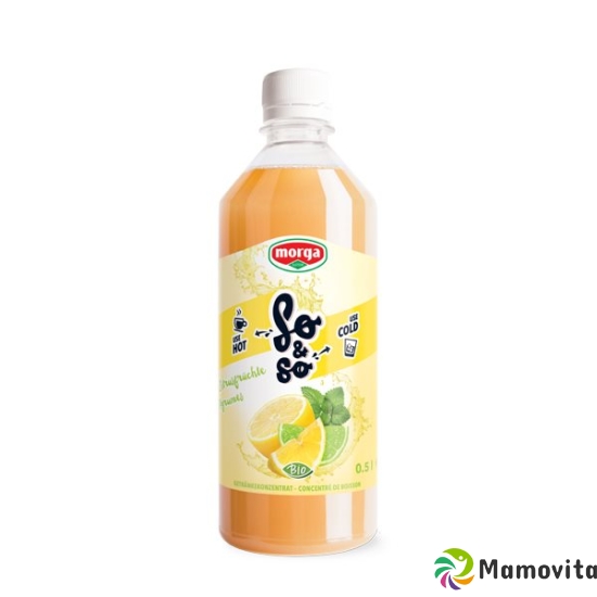 So&so Zitrusfrüchte Konzentrat Bio Flasche 5dl buy online