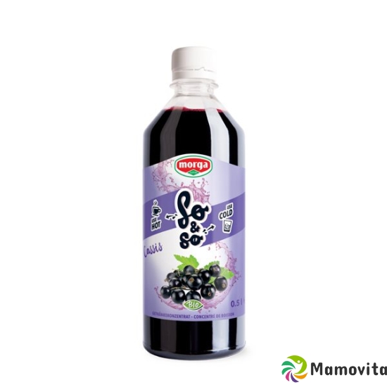 So&so Cassis Konzentrat Bio Flasche 5dl buy online