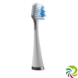 Waterpik brush heads Standard Strb-3ew