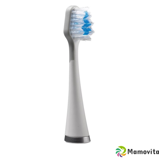 Waterpik brush heads Standard Strb-3ew buy online