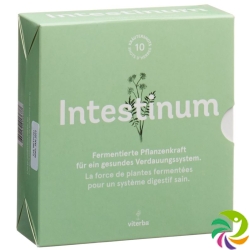 Viterba Intestinum Shot 10 Stück