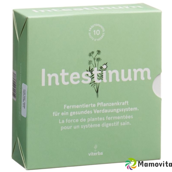 Viterba Intestinum Shot 10 Stück buy online