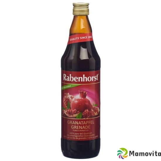 Rabenhorst Granatapfel Muttersaft Bio Flasche 7.5dl buy online