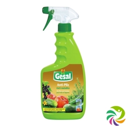 Gesal Anti-Pilz für Obst und Gemüse Spray 750ml